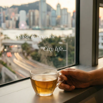 The city doesn’t pause. But you can.