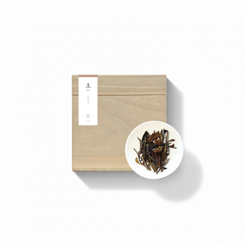 Terra N - Origine 2017